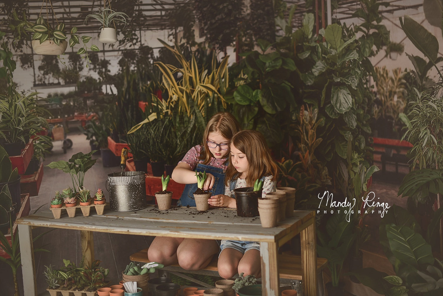 Kate Spring Greenhouse Interior Backdrop Designed by Mandy Ringe Photography -UK