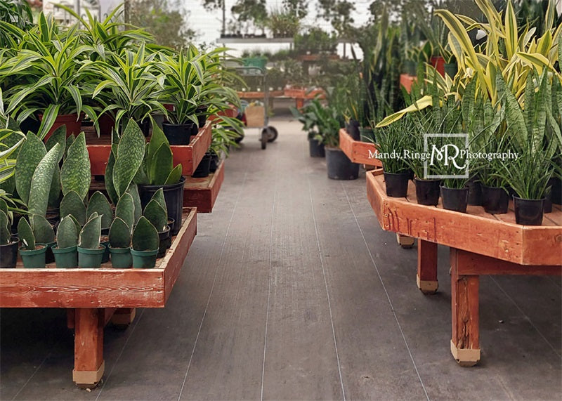 Kate Spring Greenhouse Interior Backdrop Designed by Mandy Ringe Photography