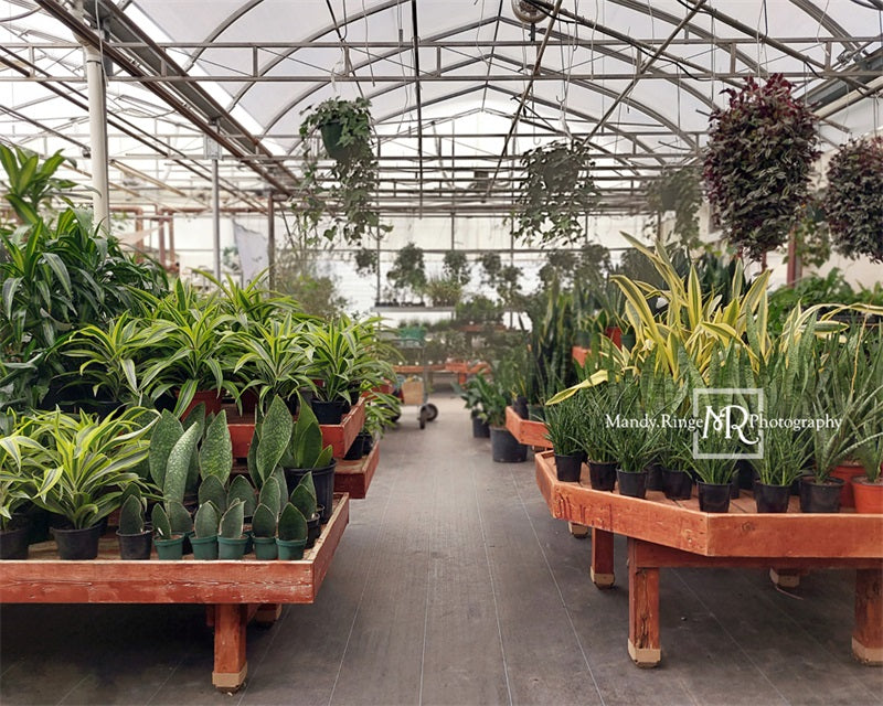 Kate Spring Greenhouse Interior Backdrop Designed by Mandy Ringe Photography