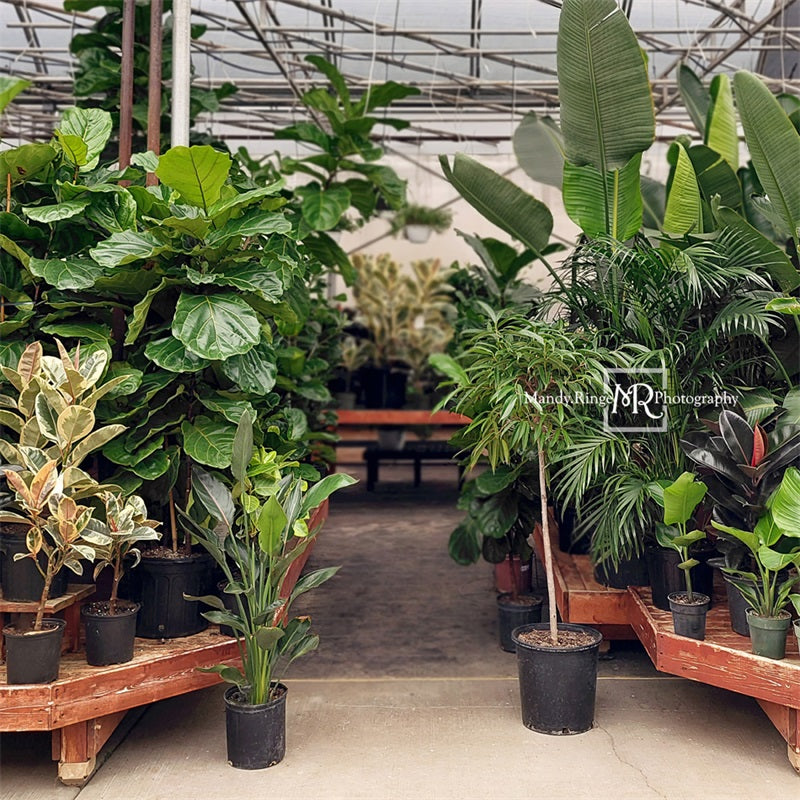 Kate Spring Tropical Greenhouse Interior Backdrop Designed by Mandy Ringe Photography