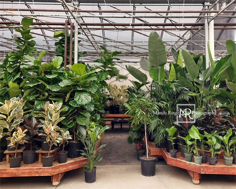 Kate Spring Tropical Greenhouse Interior Backdrop Designed by Mandy Ringe Photography