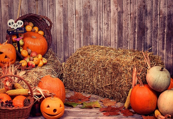 Kate Halloween Autumn Pumpkin Grass Pile Farm Backdrop Photography