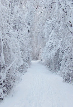 Winter Snowy Scenery Road Backdrop
