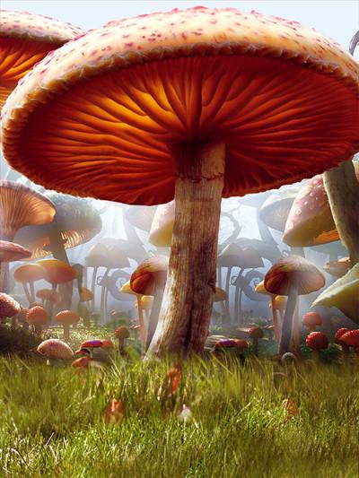 Kate Children Mushrooms Forest Photography Backdrops Fairy Tale - Kate backdrops UK