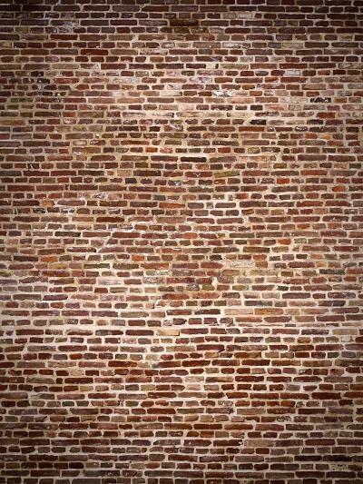 Katebackdrop：Kate Retro Style Brown Brick Wall Backdrops