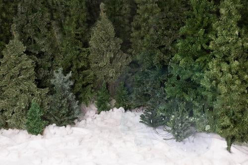 Kate Christmas Trees Farm Snow 