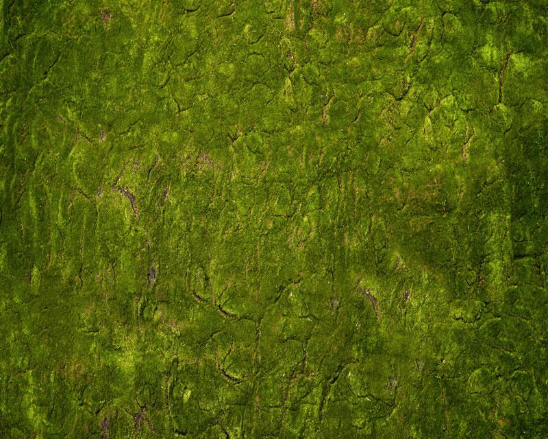Kate Wonderland Grass Green Rubber Floor Mat Designed by Arica Kirby -UK