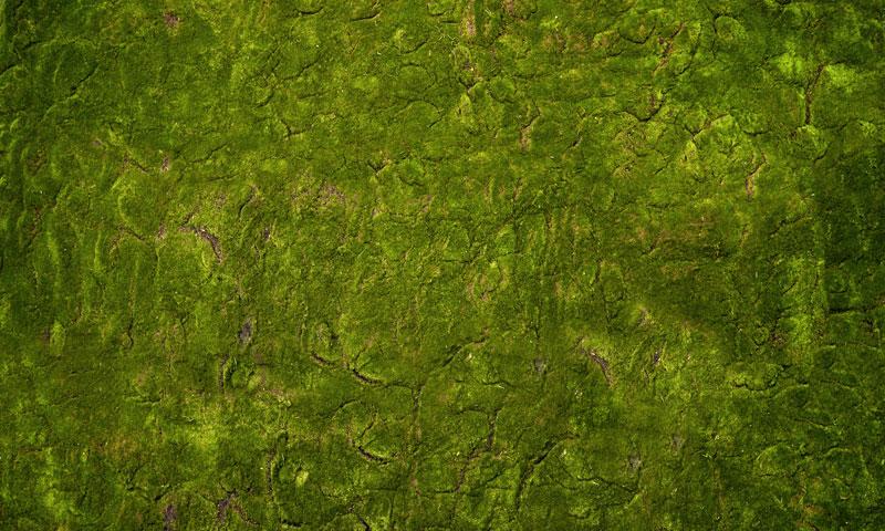 Kate Wonderland Grass Green Rubber Floor Mat Designed by Arica Kirby -UK