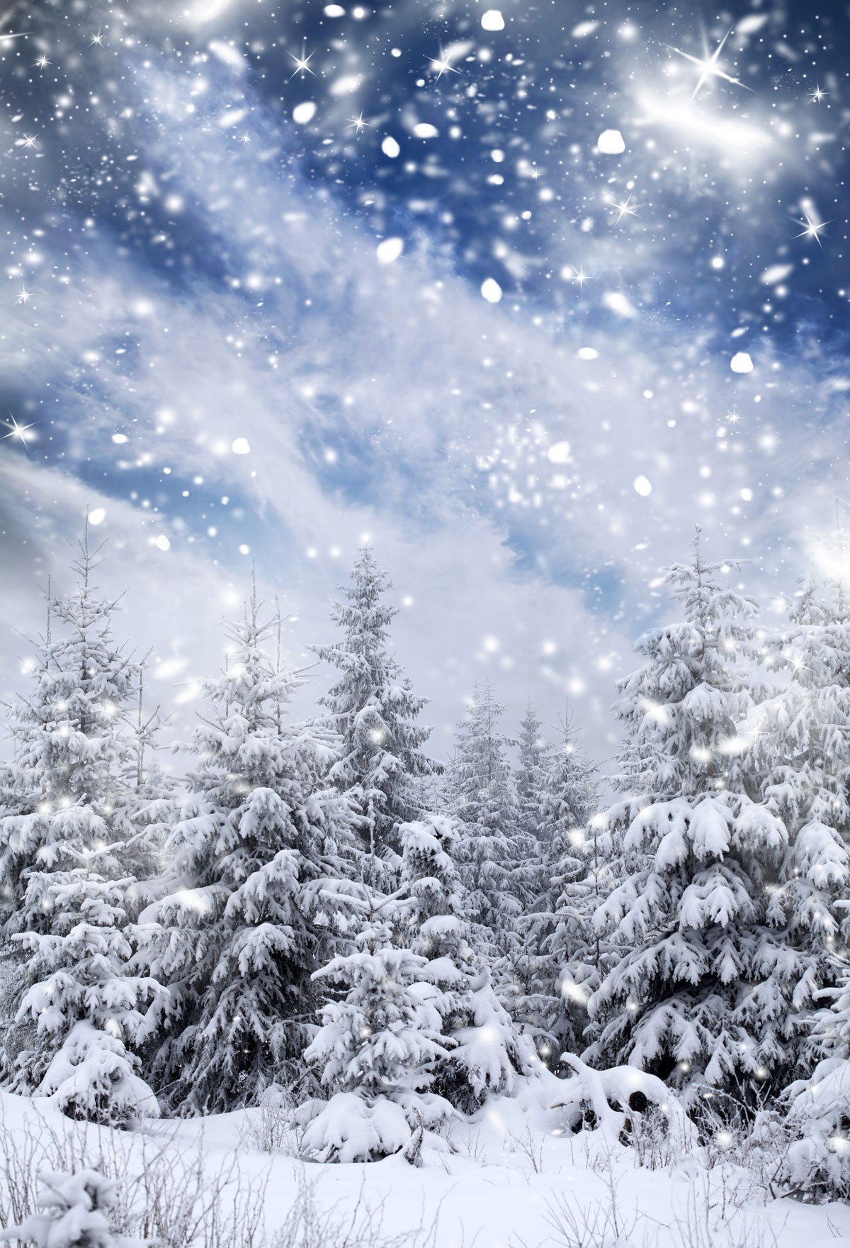Kate Snow Winter Forest Snowflake Backdrop for Photography