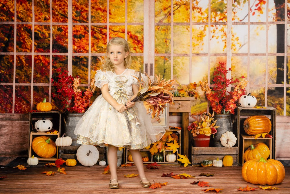 Kate Autumn Pumpkin Window Backdrop Designed by Uta Mueller Photography