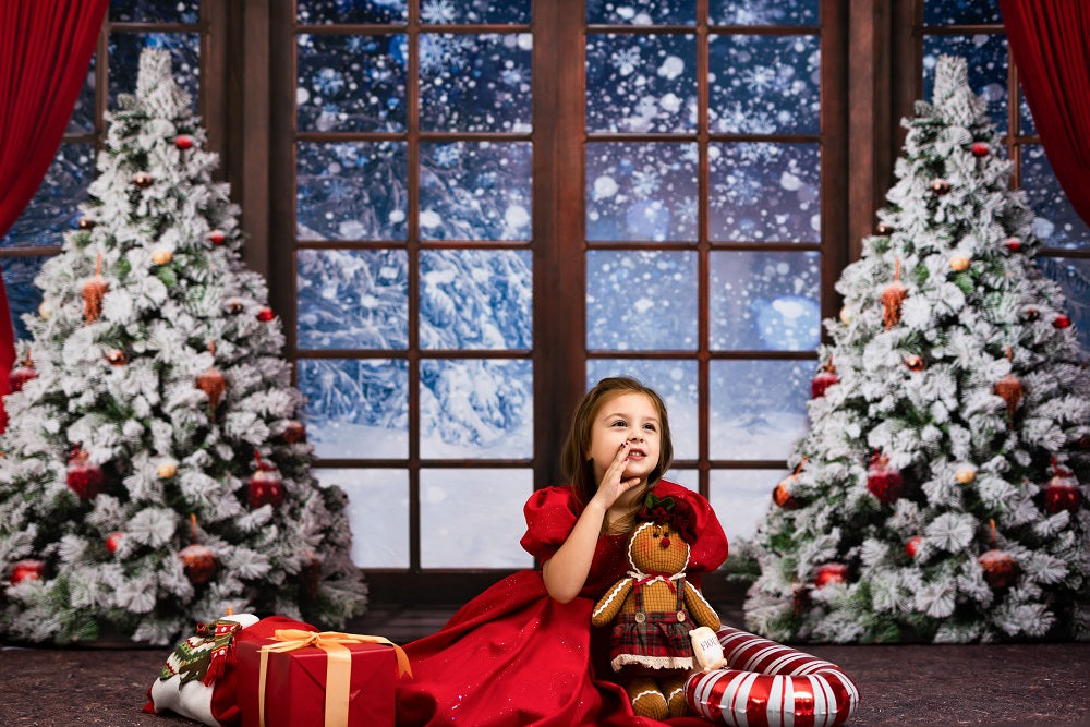 Kate Winter Snow Christmas Window Backdrop Designed by Chain Photography -UK