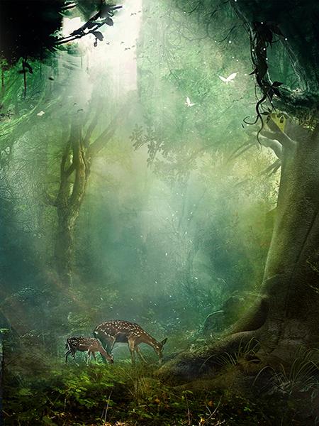 Katebackdrop£ºKate Fairy Tale Forest Backdrop Animal Photo Background