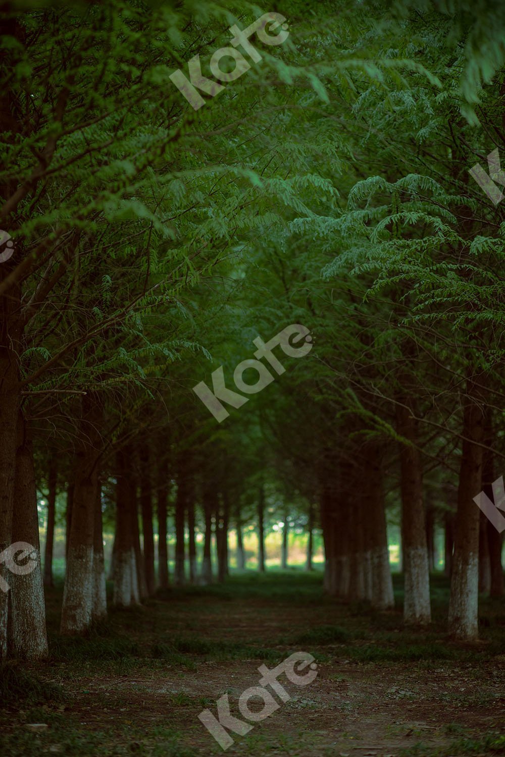 Kate Summer Backdrop Forest Road Designed by Emetselch
