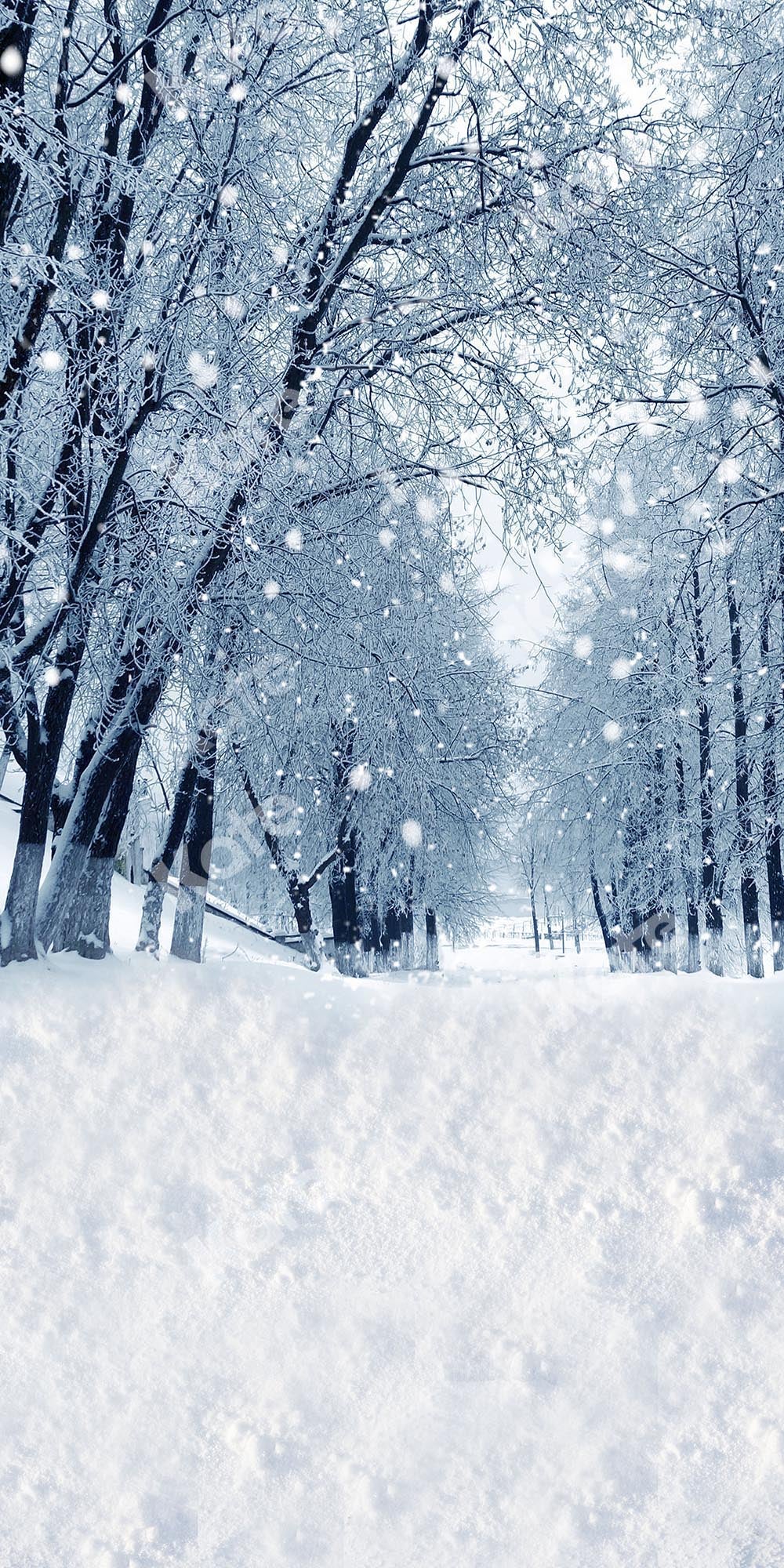 Kate Sweep Winter/Christmas Snow Forest Backdrop Designed by Chain Photography -UK
