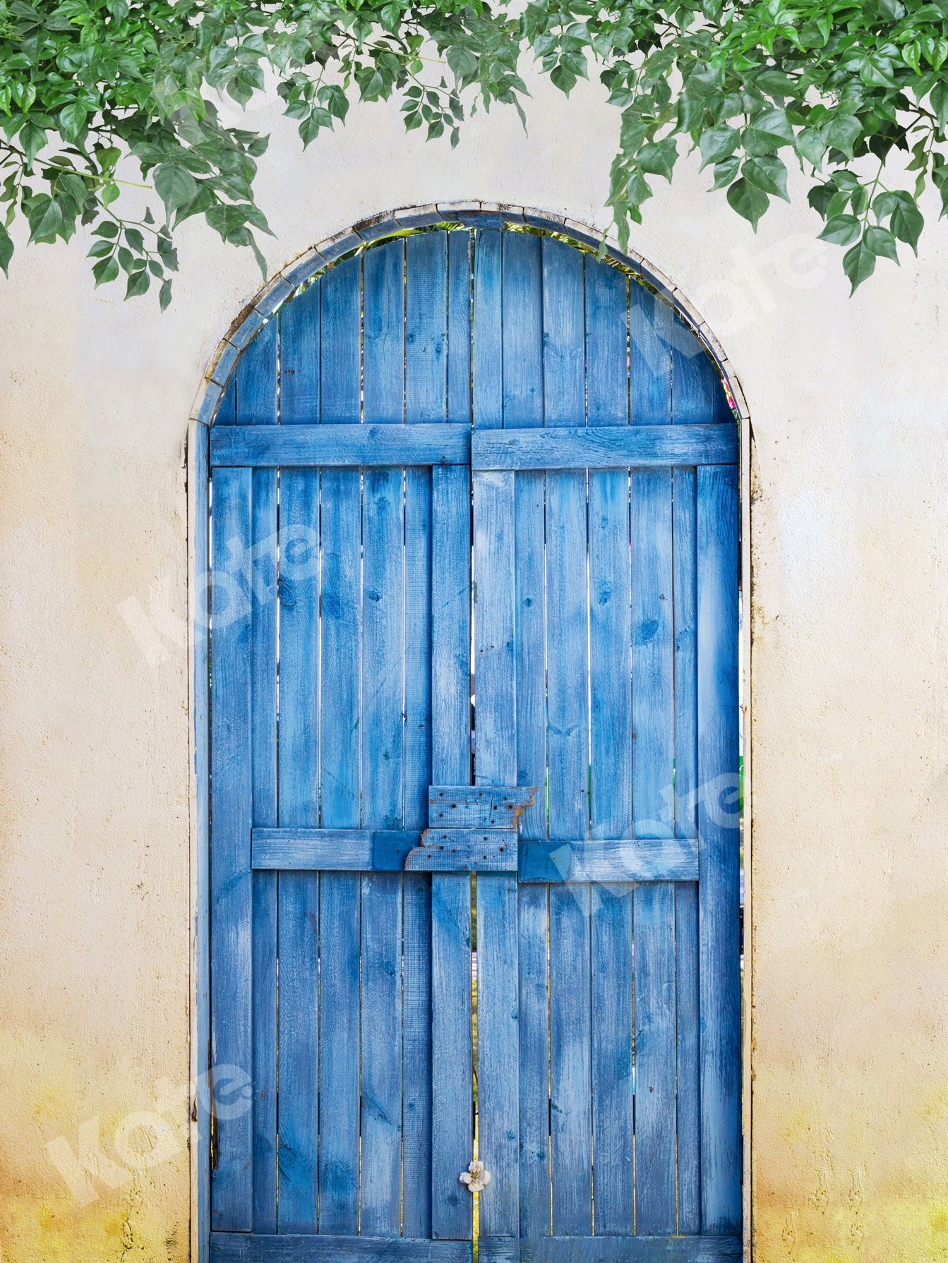 Kate Summer Blue Wooden Door With Green Leaves Backdrop Designed by Jia Chan Photography