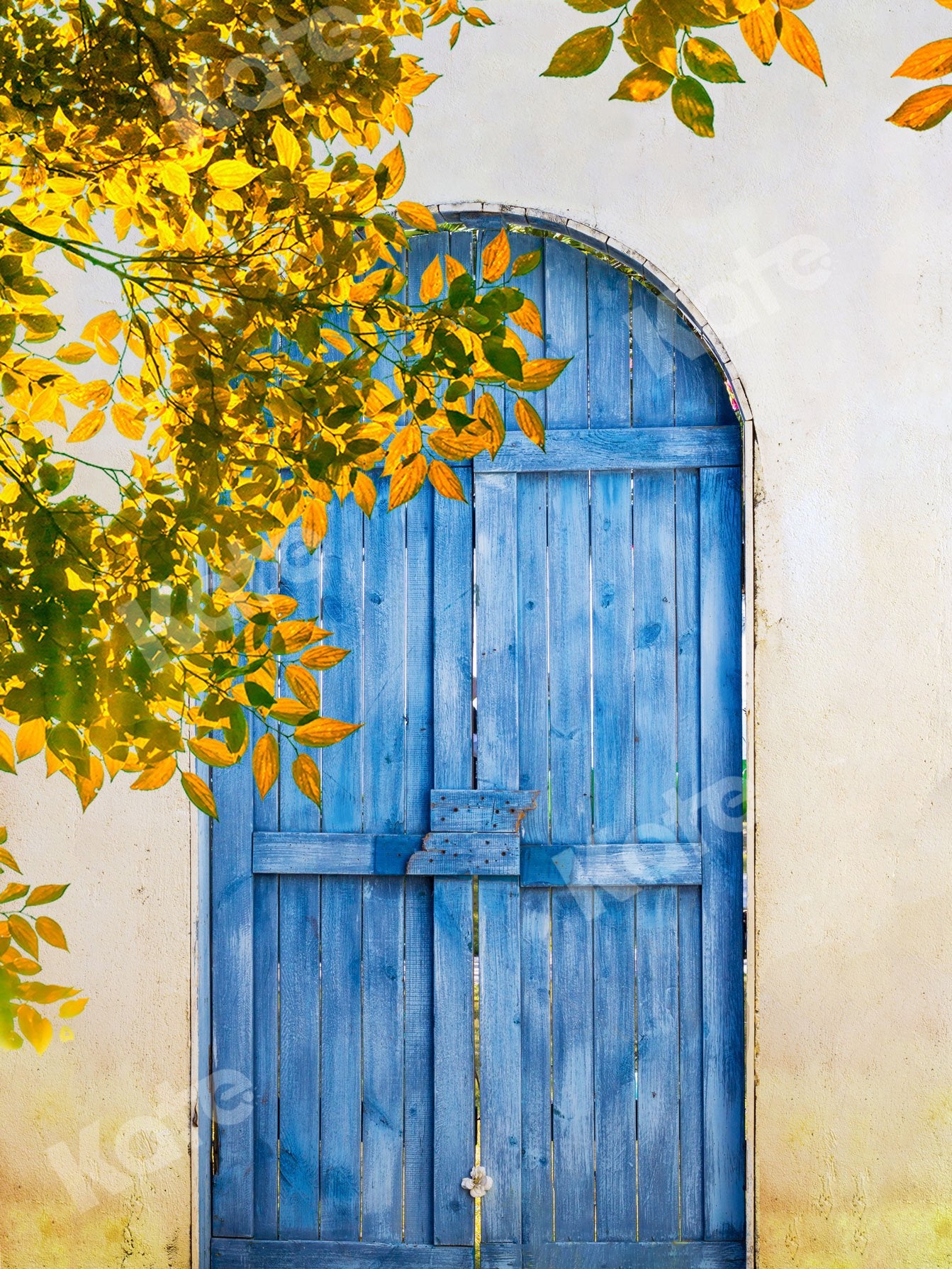 Kate Summer Blue Wooden Door With Leaves Backdrop Designed by Jia Chan Photography