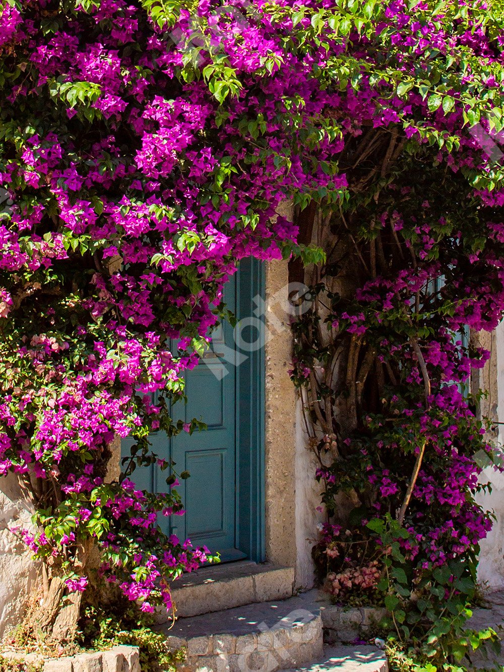 Kate Summer Backdrop Florals Door Designed by Emetselch