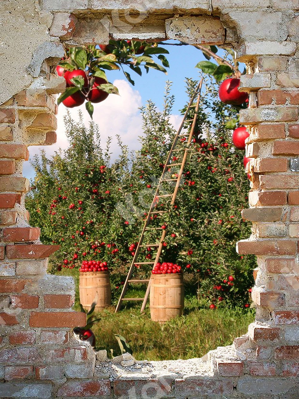 Kate Apple Orchard Backdrop with Broken Wall Designed by Chain Photography