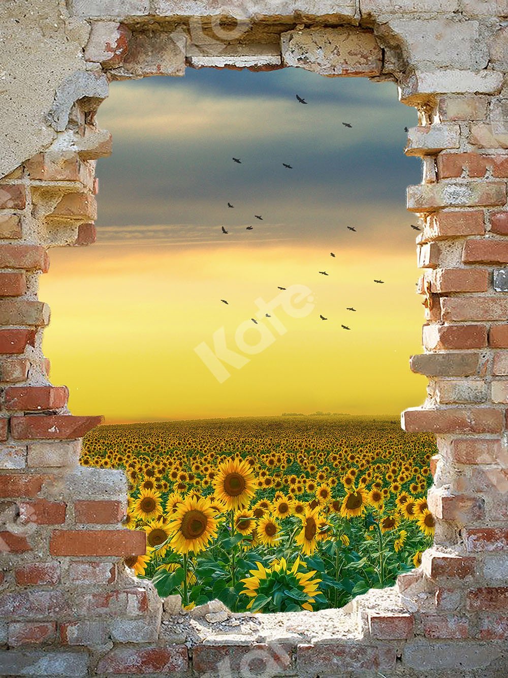 Kate Sunflower Field Backdrop with Broken Wall Designed by Chain Photography