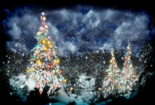 Kate Frozen Snow Trees Winter Scenery Christmas Theme Backdrops