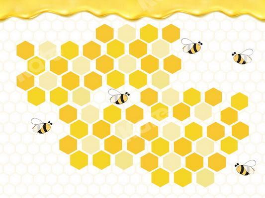Kate Bee Honeycomb Honey Birthday Backdrop Designed By JS Photography