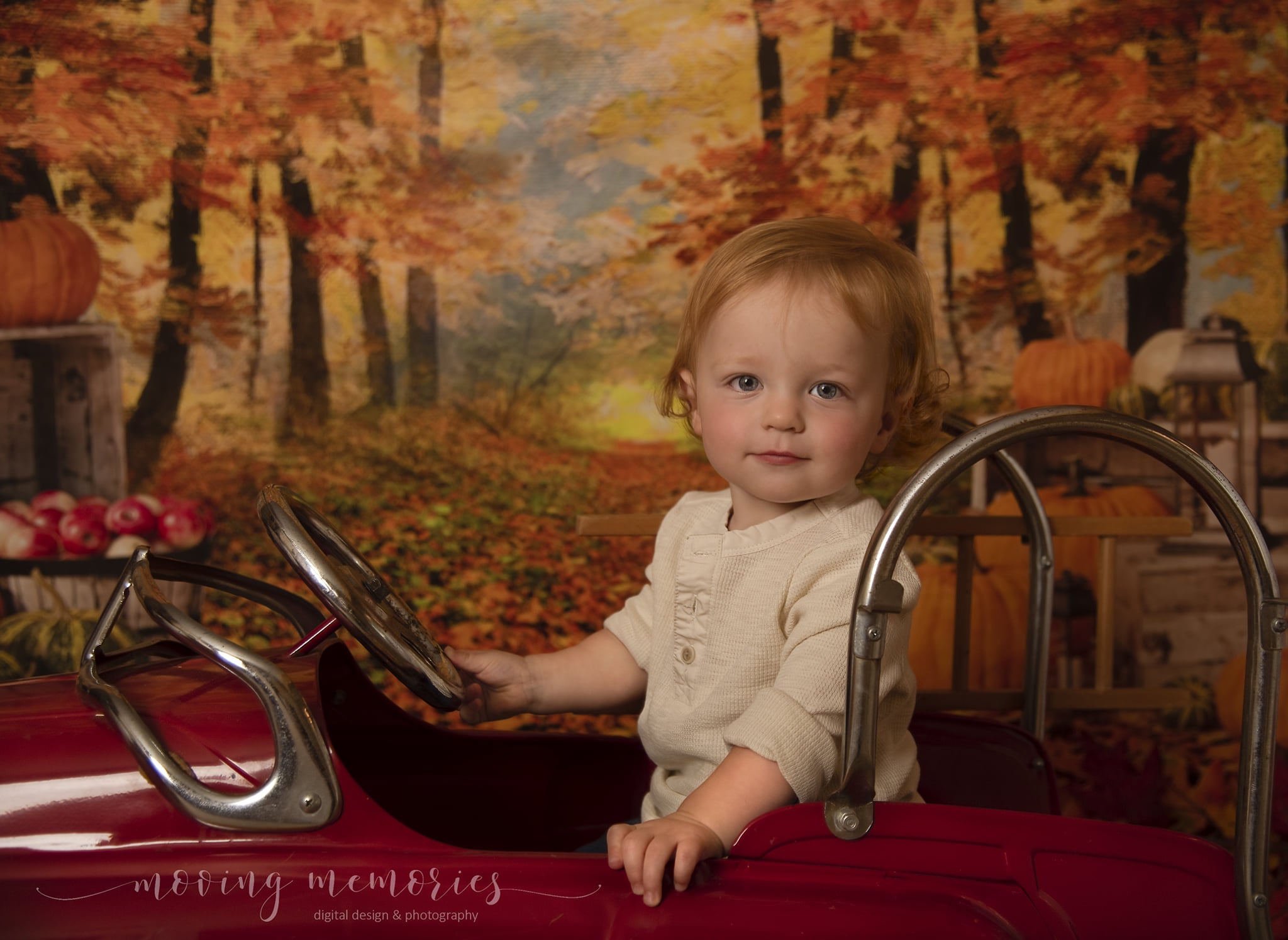 Kate Autumn Leaf Thanksgiving with Pumpkins Backdrop Designed By Jerry_Sina