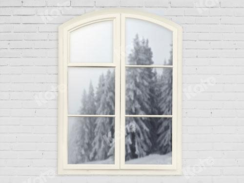 Kate Winter/Xmas Backdrop White Window Snow Forest Scene Designed By JS Photography