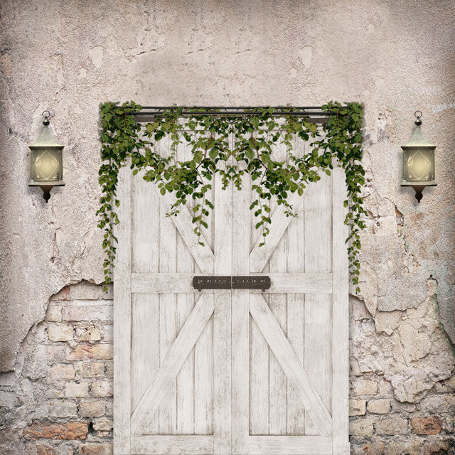Kate Spring Backdrop Vintage wall Barn Door for Photography