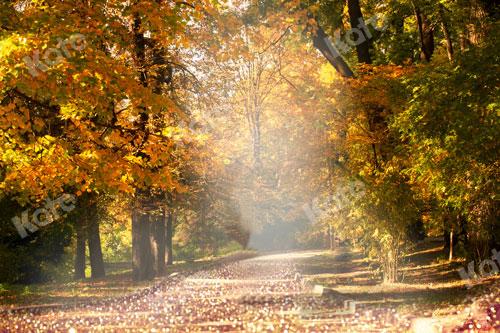 Kate Fall Sunny Forest Backdrop Designed By JS Photography -UK