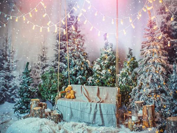 Kate Decoration Snow Scene Backdrop for Christmas Photography - Kate backdrop UK