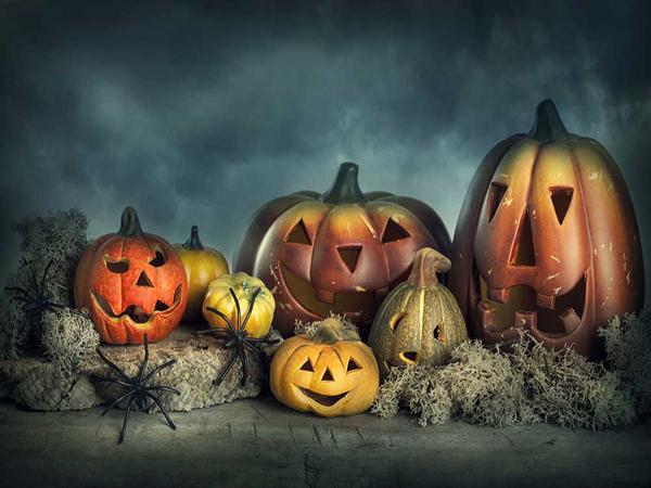 Kate Pumpkins Lanterns Dark Grey Backdrop for Halloween Photography - Kate backdrop UK