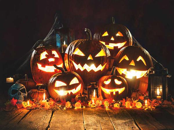 Kate Halloween Backdrop pumpkin lantern Photo Props - Kate backdrop UK