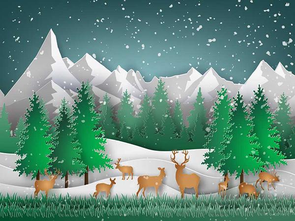 Kate Cartoon Green Christmas Tree Deer Backdrop - Kate backdrop UK