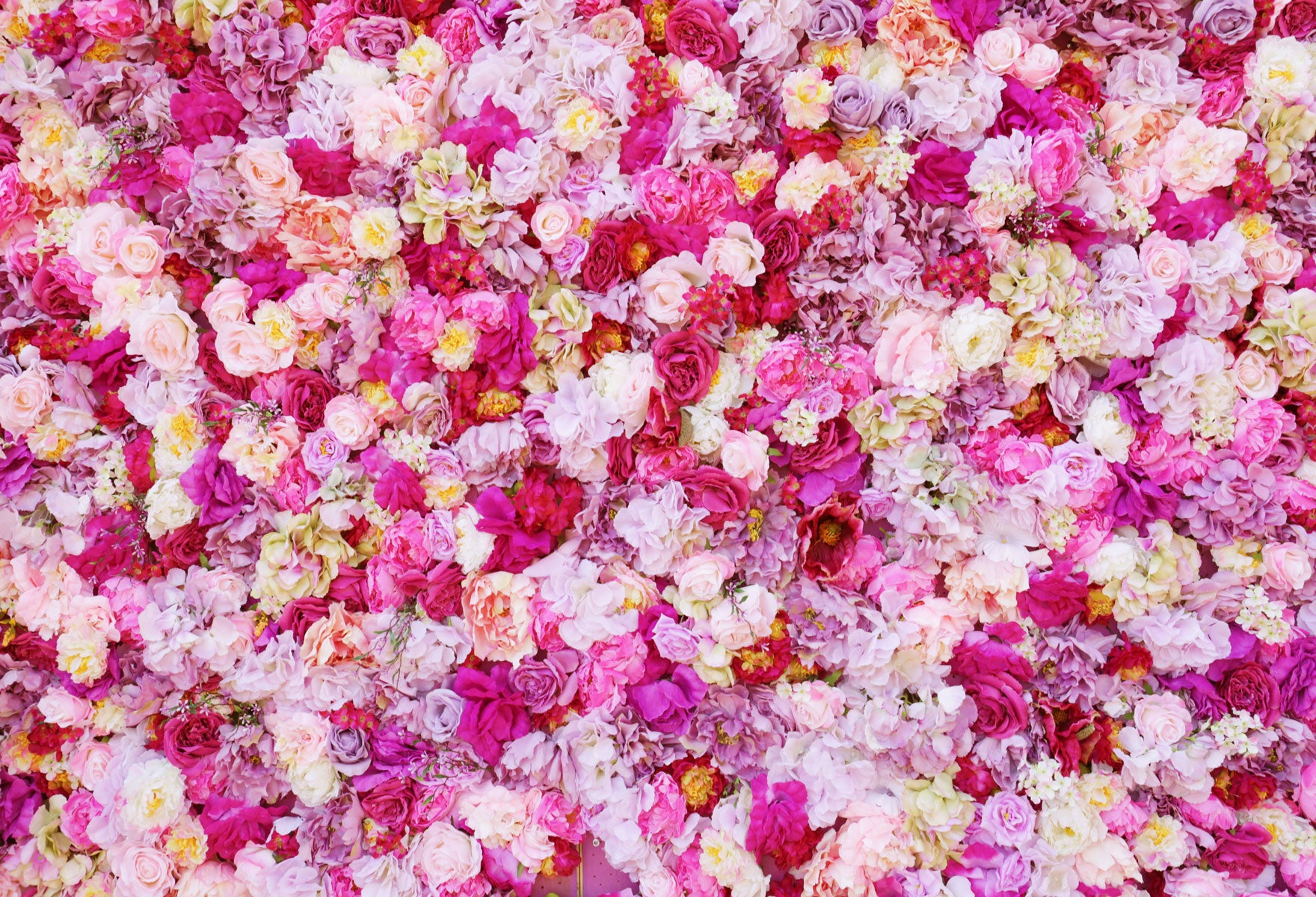 Kate Purple Pink White Flowers in a Mixed Backdrop for Photography