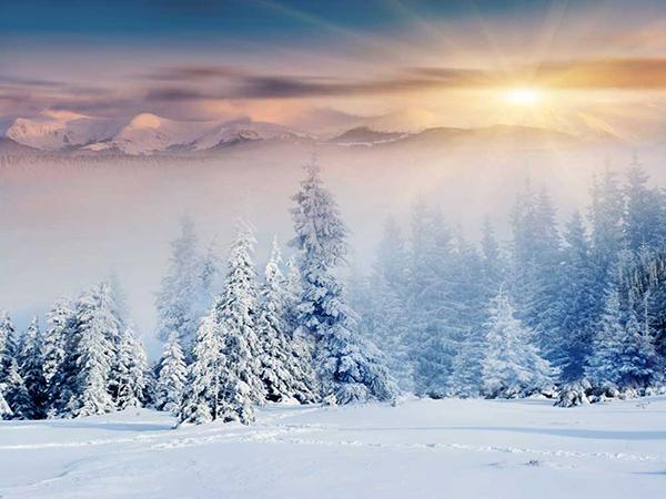 Kate Christmas Winter Outdoor Scene Sunrise Snow Photo Backdrop - Kate backdrop UK