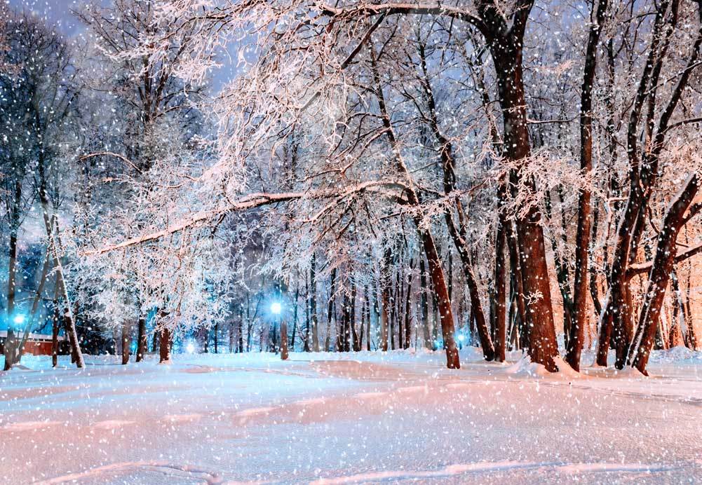 Kate Real Winter snow tree lights backdrop for Christmas - Kate backdrop UK