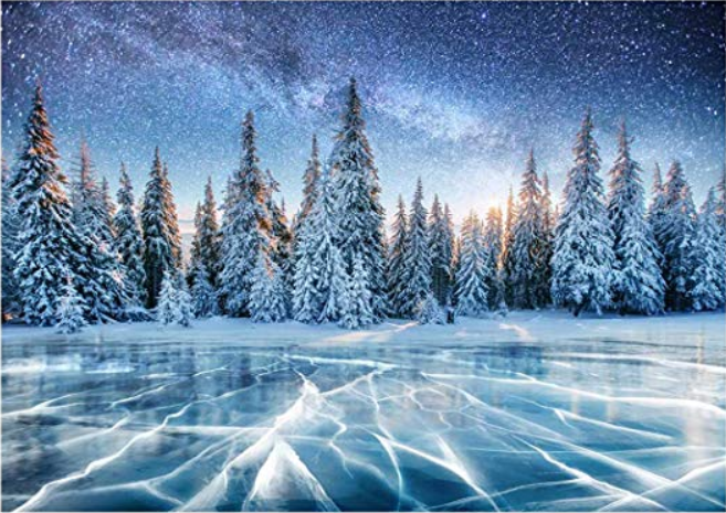 Kate Winter Frozen Lake Backdrop for Photography