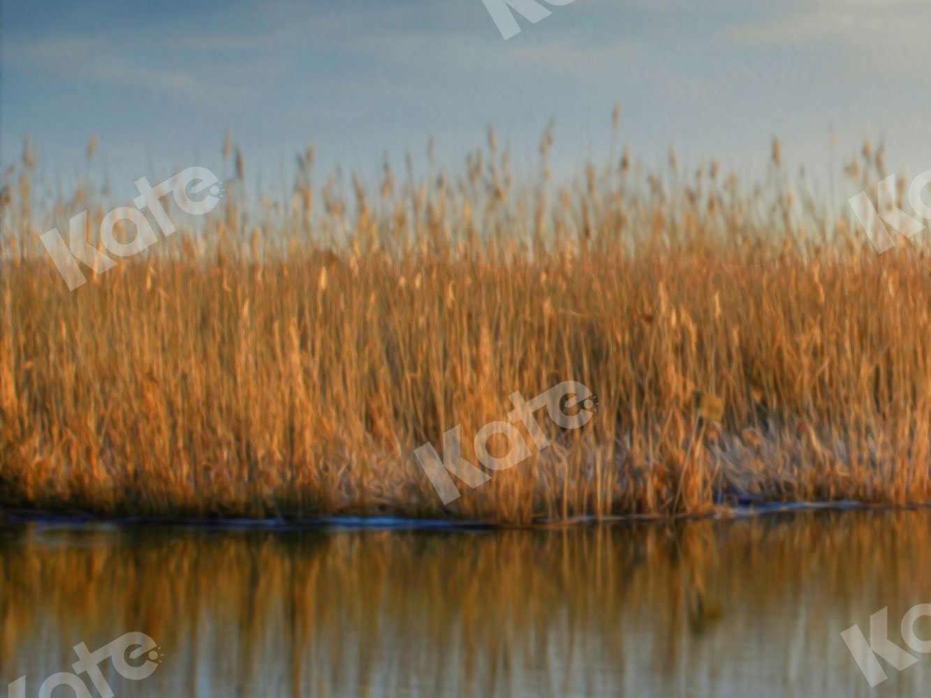 Kate Autumn Backdrop Waterside Reeds for Photography