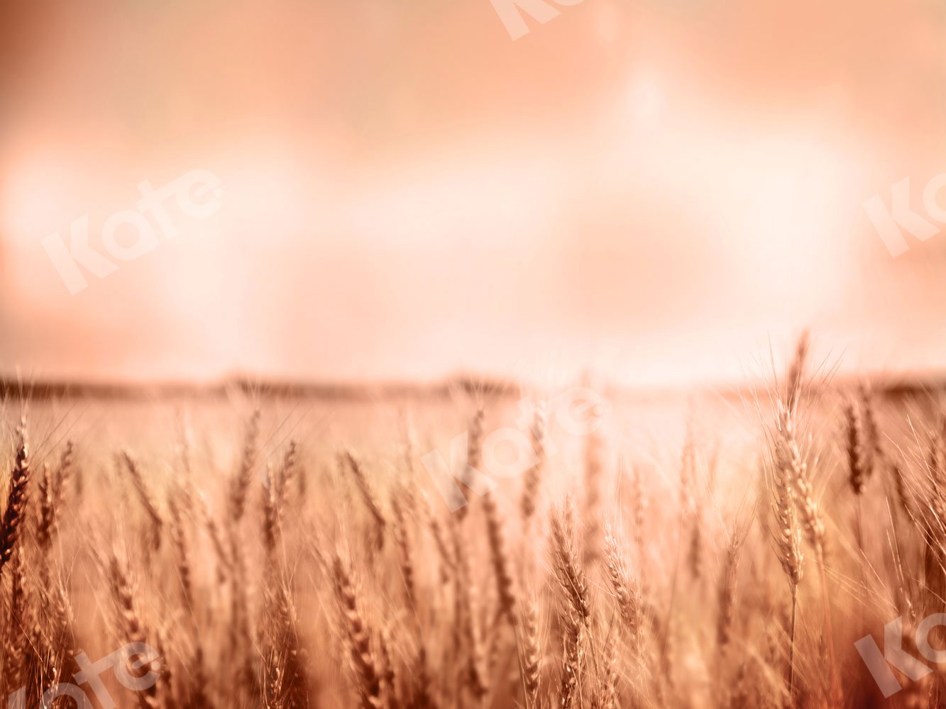 Kate Autumn Backdrop Wheatfield for Photography