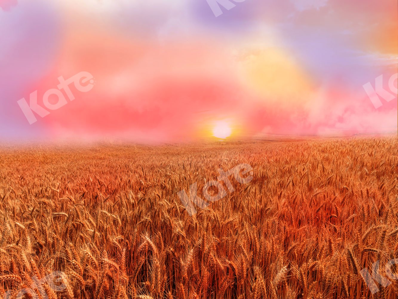 Kate Autumn Backdrop Sunset Wheatfield for Photography