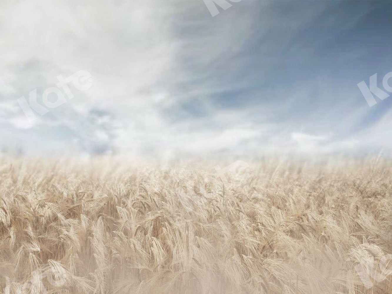 Kate Autumn Backdrop Blurred Wheatfield for Photography