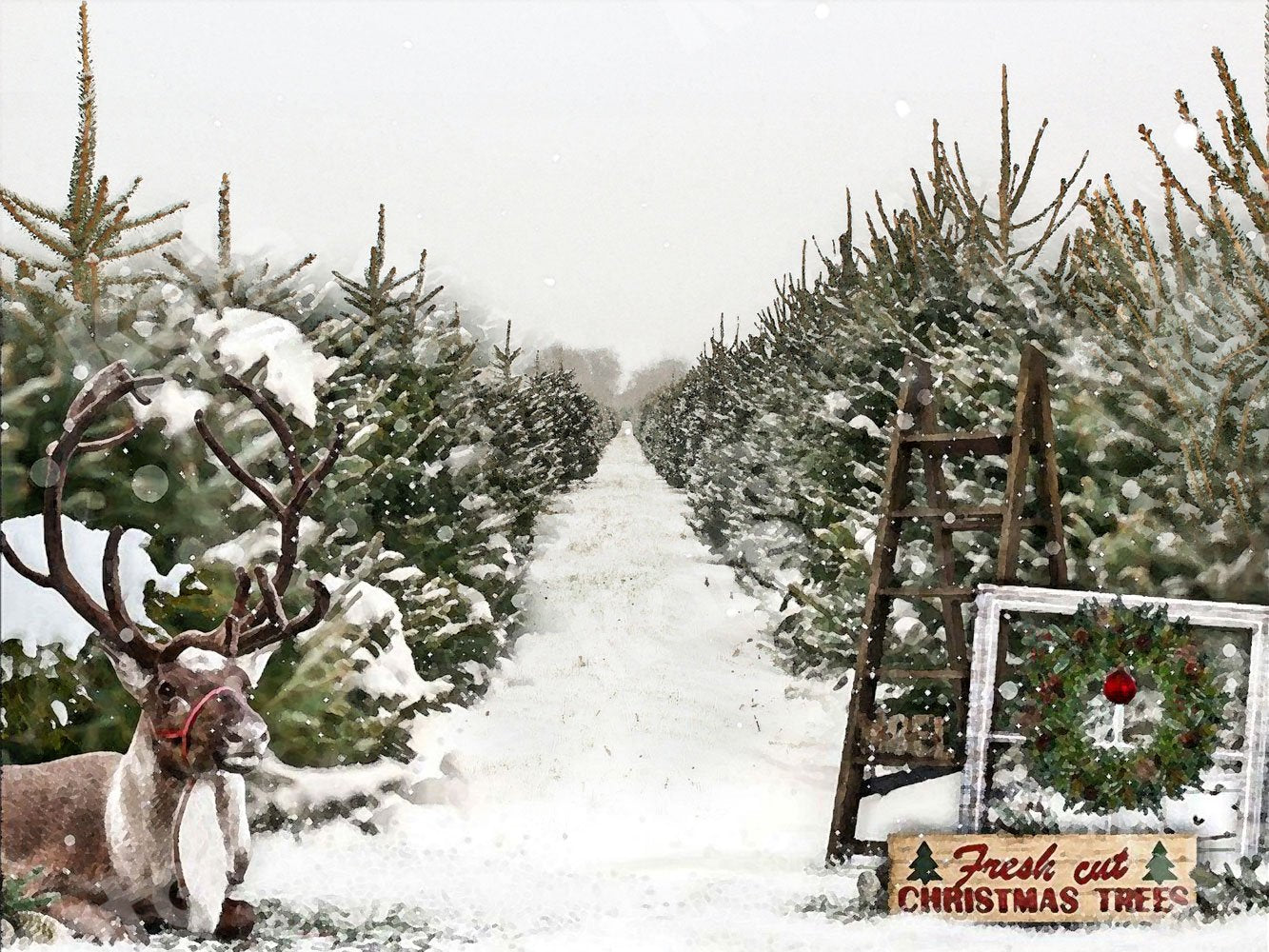 Kate Christmas Trees Sale Backdrop for Photography -UK