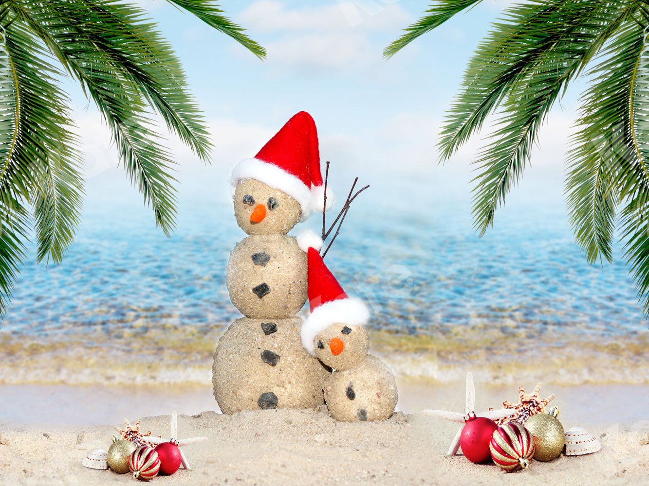 Kate Christmas Beach Sea Backdrop for Photography -UK