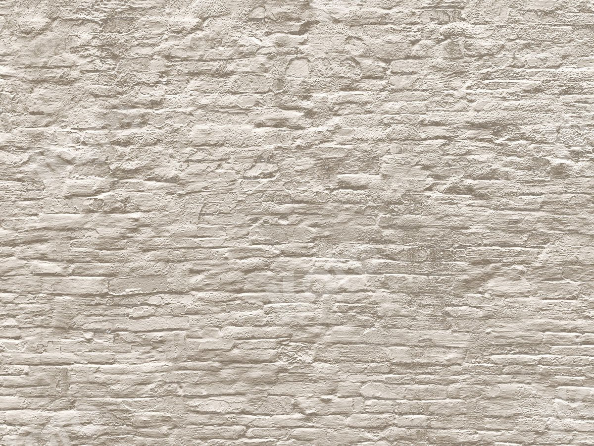 Kate White Brick Wall Backdrop Designed by Jia Chan Photography -UK