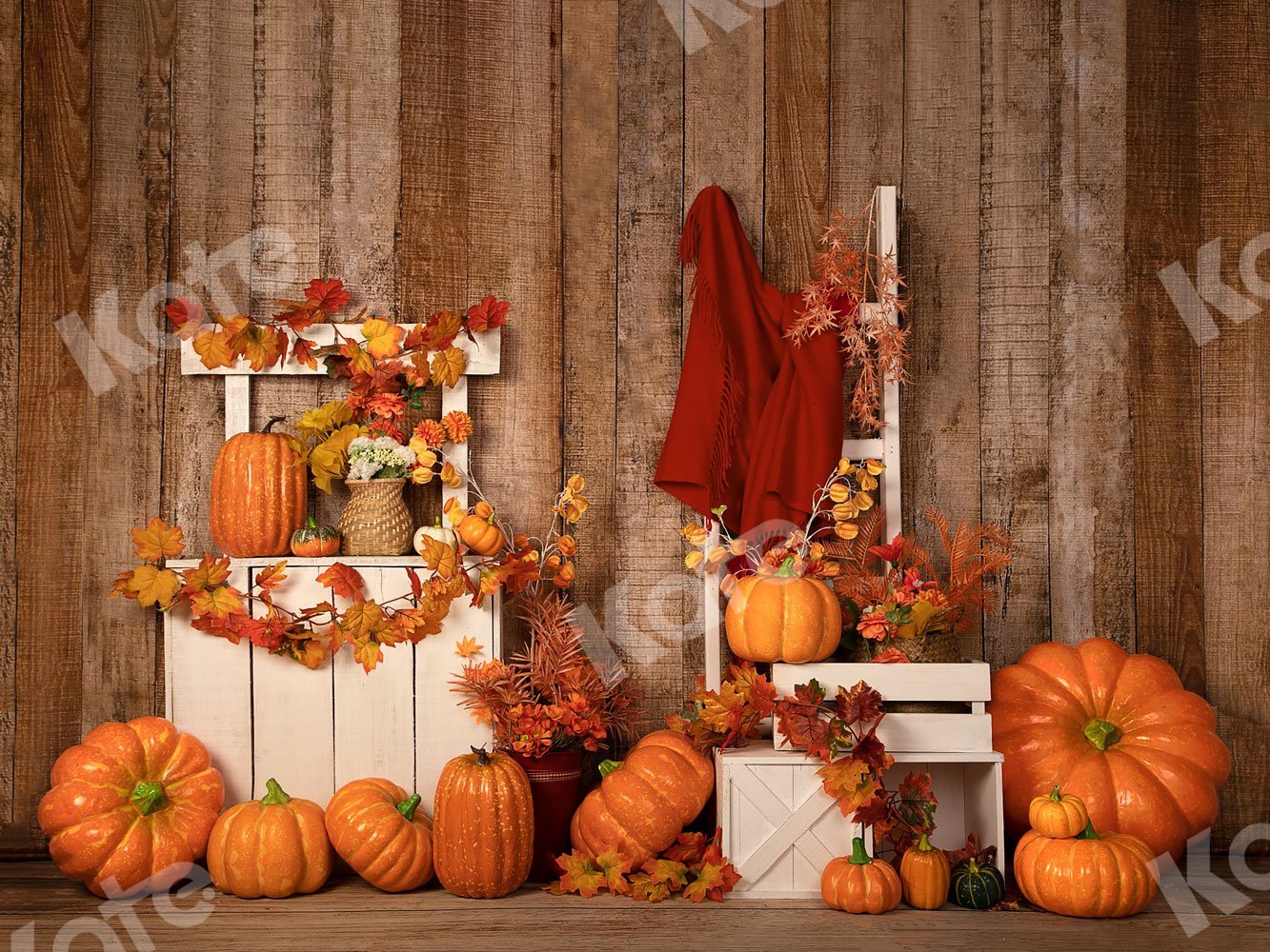 Kate Autumn/Thanksgiving Pumpkins Stand Backdrop Designed by Jia Chan Photography -UK