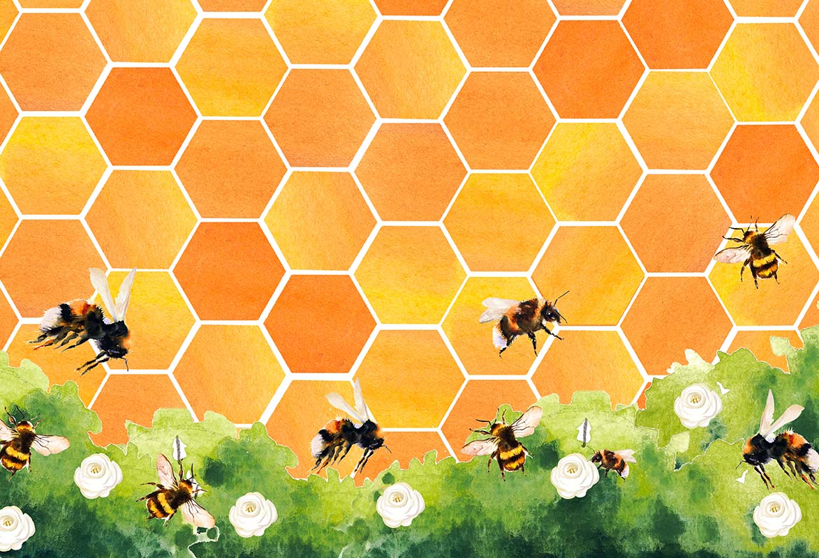 Kate Honeycomb Bee Backdrop Designed by GQ