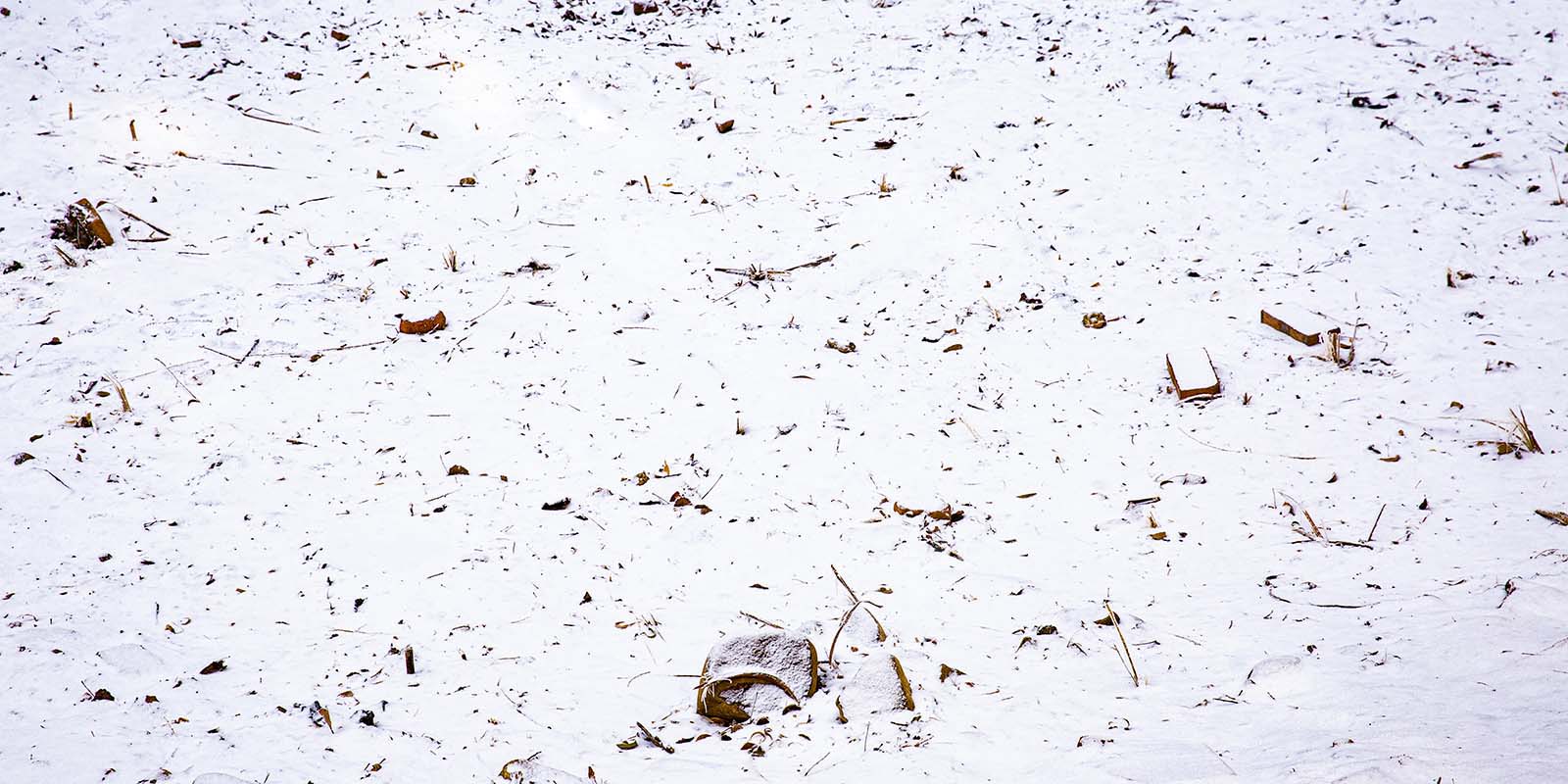 Kate Winter Snowfield Backdrop Designed by Emetselch -UK