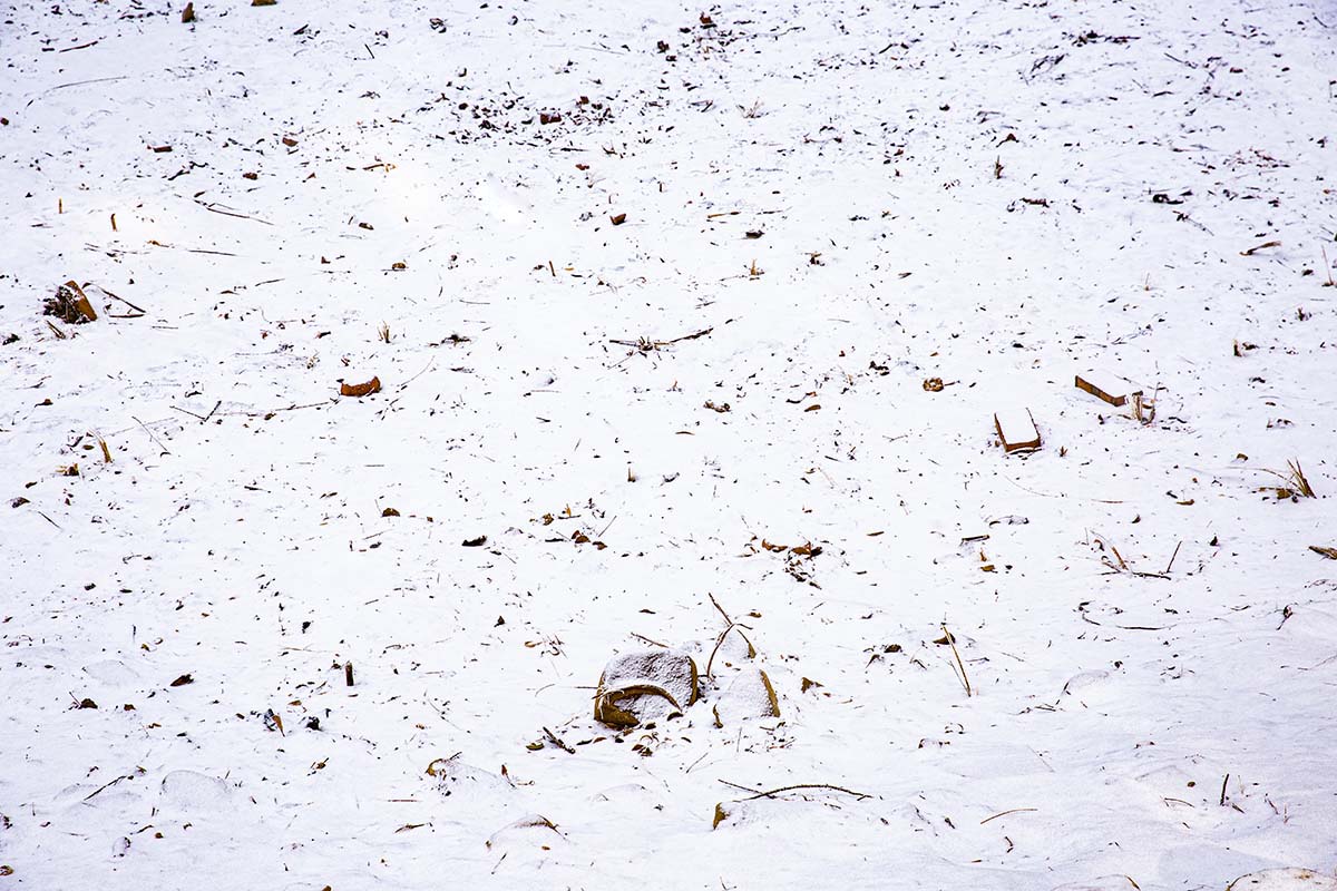 Kate Winter Snowfield Backdrop Designed by Emetselch