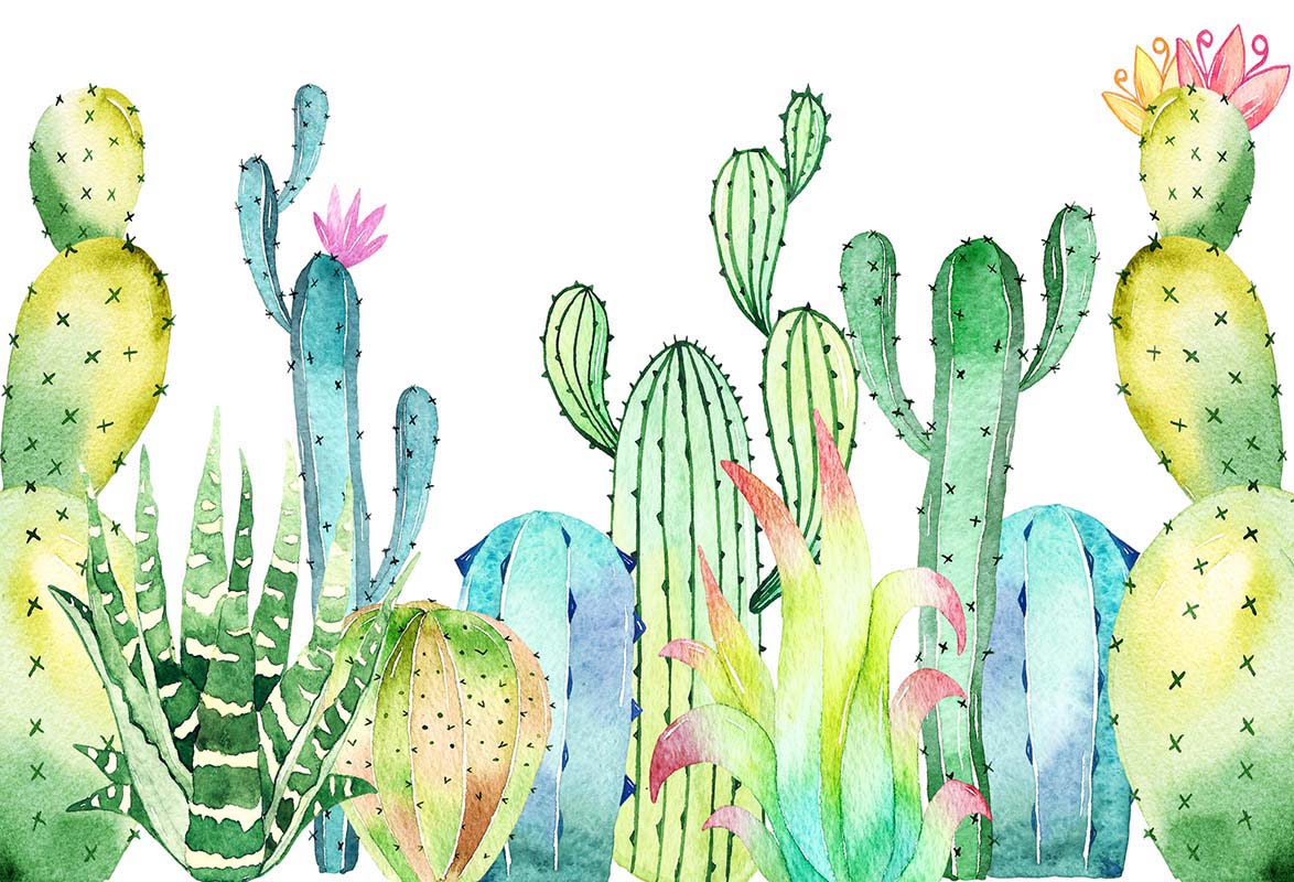 Kate Summer Cactus Cake Smash Fine Art Backdrop Designed by Chain Photography -UK