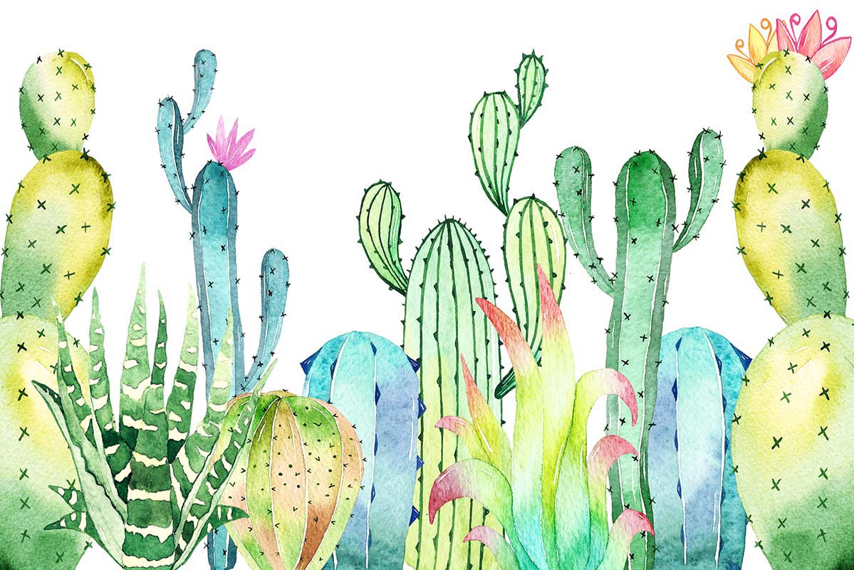 Kate Summer Cactus Cake Smash Fine Art Backdrop Designed by Chain Photography -UK